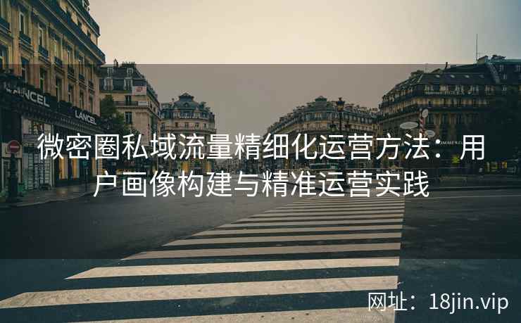 微密圈私域流量精细化运营方法：用户画像构建与精准运营实践
