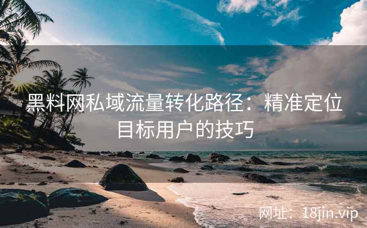 黑料网私域流量转化路径：精准定位目标用户的技巧