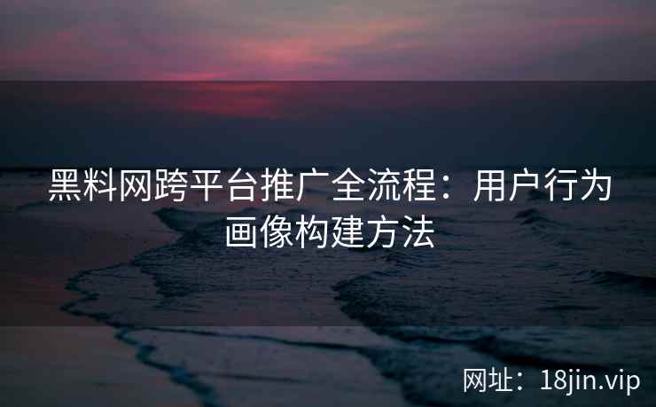 黑料网跨平台推广全流程：用户行为画像构建方法