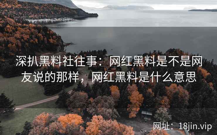 深扒黑料社往事：网红黑料是不是网友说的那样，网红黑料是什么意思