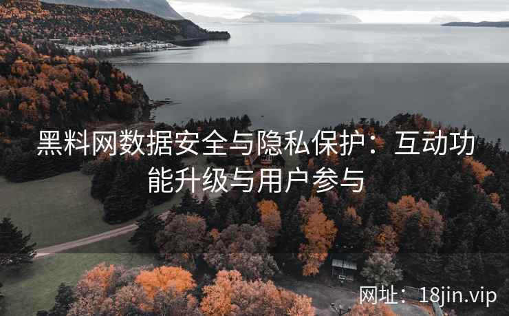 黑料网数据安全与隐私保护：互动功能升级与用户参与