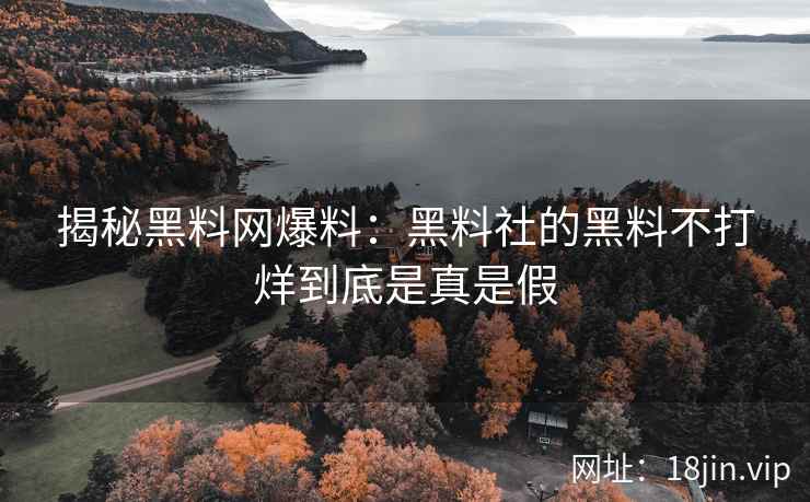 揭秘黑料网爆料：黑料社的黑料不打烊到底是真是假