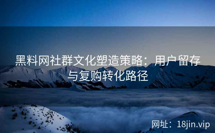 黑料网社群文化塑造策略：用户留存与复购转化路径