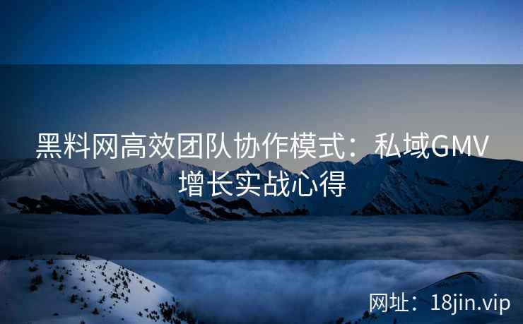 黑料网高效团队协作模式：私域GMV增长实战心得