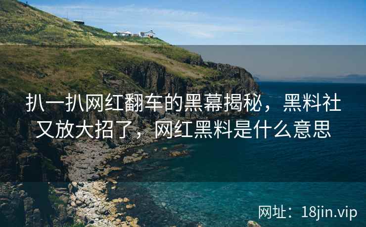 扒一扒网红翻车的黑幕揭秘，黑料社又放大招了，网红黑料是什么意思